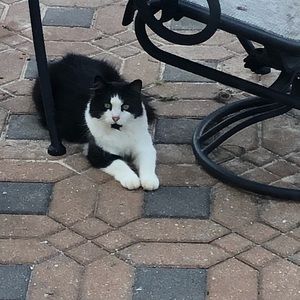 Meet your Posher, Jayden